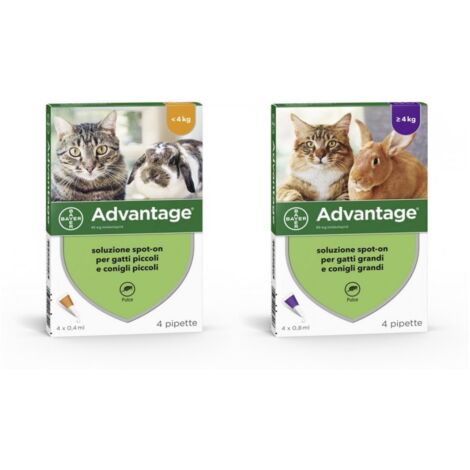 BAYER ADVANTAGE SPOT ON 40 GATTI FINO A 4 KG