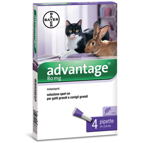 BAYER ADVANTAGE SPOT ON 80 GATTI OLTRE 4 KG- BAYER- 1,0 pz