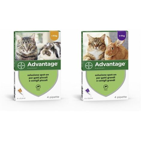 Bayer ANTIPARASSITARIO ADVANTAGE PER GATTI E CONIGLI  4 kg e oltre Bayer
