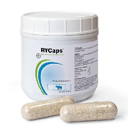 Bayer Rycaps rumiale con lieviti viventi, 500gr (25 bolos x 20 gr)