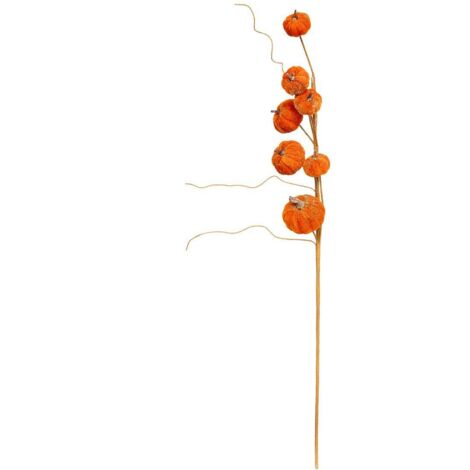 BCH KÜRBIS H60 - Atmosphera créateur d'intérieur