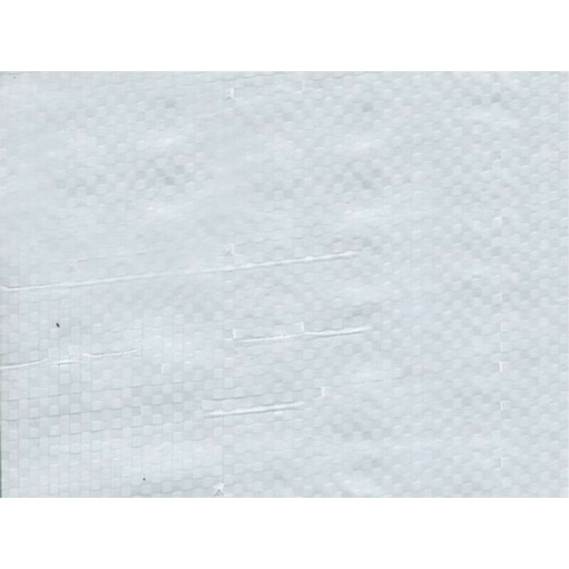 Maillestore - Bâche de protection 100g avec oeillets - Blanc 2m x 3m