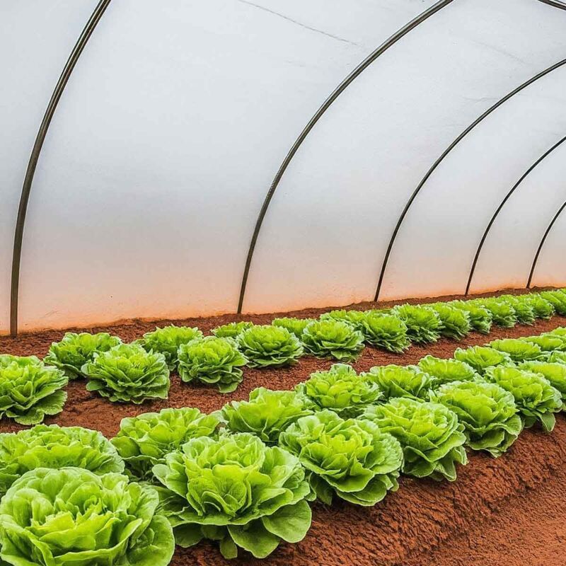 Bâche Serre 6x8 m - Translucide - Très résistante - Etanche - Anti-UV - Fabrication française - Kalembal