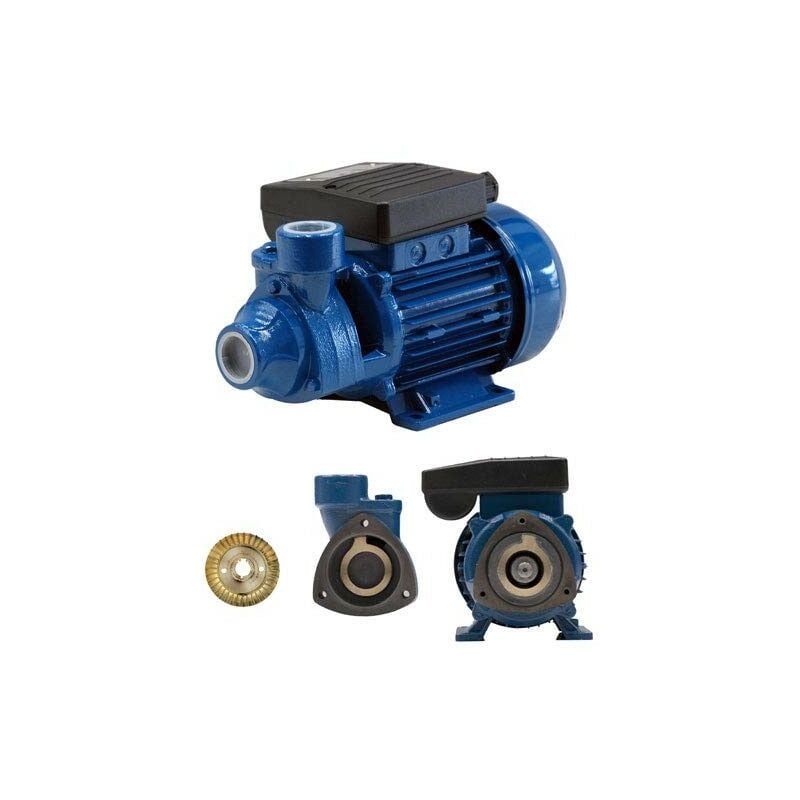 BCN Pe-100 Pompe à eau périphérique auto-amorçante (monophasée)