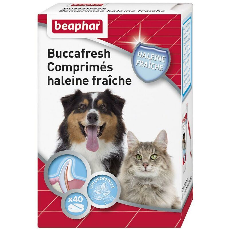 Buccafresh, comprimés haleine fraîche - 40 cps
