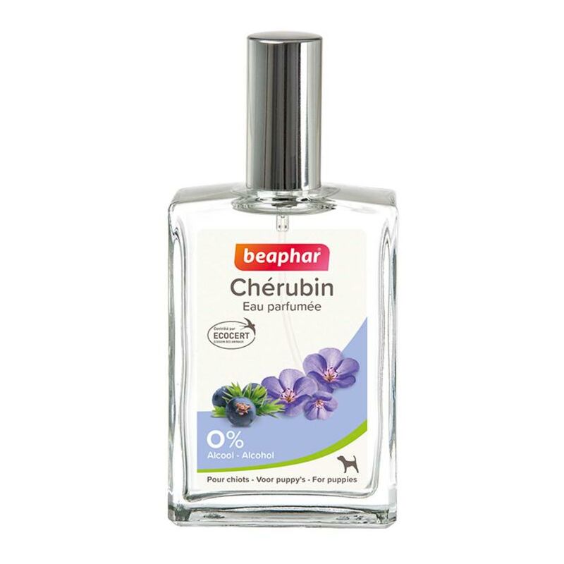Cherubin, eau de toilette chiot - 50 ml