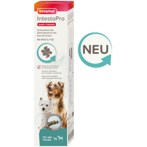 Beaphar IntestoPro Paste für Hunde - Unterstützt das Gleichgewicht der Darmfunktion - 2x 20 ml