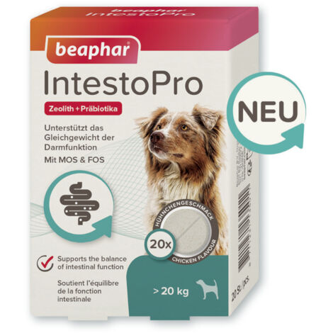 Beaphar IntestoPro Tabs für große Hunde - Unterstützt das Gleichgewicht der Darmfunktion - 20 Stück