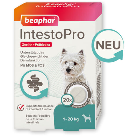 Beaphar IntestoPro Tabs für kleine Hunde - Unterstützt das Gleichgewicht der Darmfunktion - 20 Stück