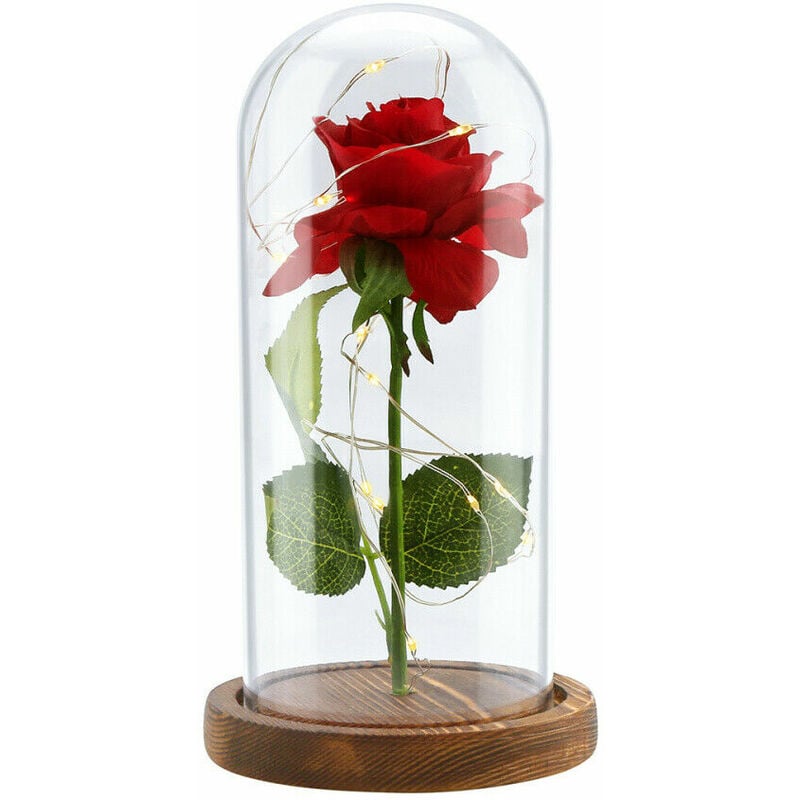 Tlily - Beauty in led Glass Dome Forever Rouge Saint Valentin FêTe des MèRes SpéCial Romantique-Base Marron