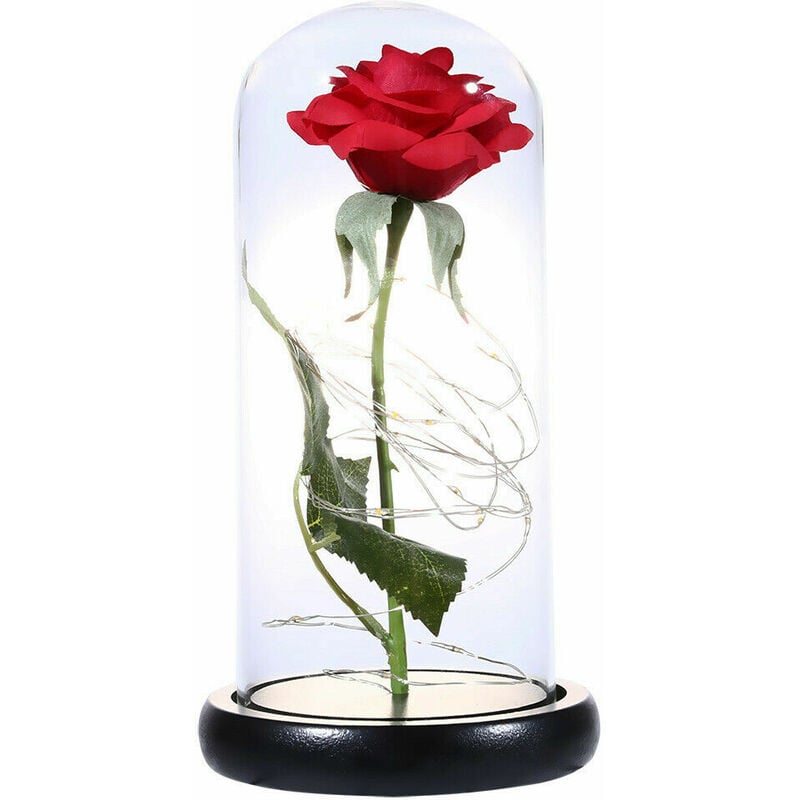 Beauty in LED Glass Dome Forever Rouge Saint Valentin FêTe des MèRes SpéCial Romantique-Base Noire