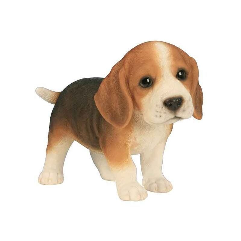 Riviera - Beagle bébé