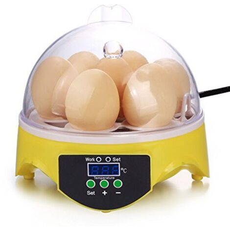 BEBUSINGOTO Eier Automatischer digitaler Eierinkubator Eierinkubator mit automatischer Drehung EU