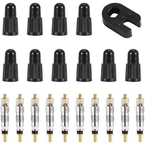 BEBUSINGOTO Kit de réparation de noyau de valve Presta, avec 10 noyaux tubeless en laiton de remplacement pour vélo, avec outil de retrait de noyau de valve, pour pneus tubeless de route et de VTT