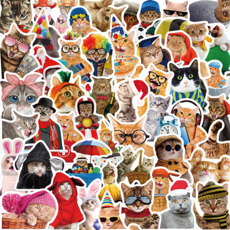BEBUSINGOTO Paquete de 291 pegatinas de gato, pegatinas de vinilo impermeables kawaii para portátil, botella de agua, monopatín, equipaje, parachoques de coche, pegatinas de gato lindas para niñas, ni