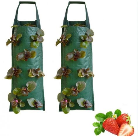 BEBUSINGOTO Sac Plantation Fraise Avec 2, Sacs à plantes suspendus, Pour plantes / herbes / fleurs / légumes