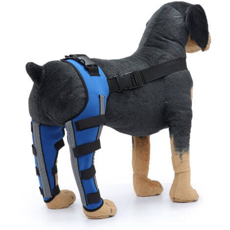 BEBUSINGOTO Tutore per ginocchio per cani con doppia protezione per la zampa posteriore, per lussazione del legamento crociato anteriore, artrite, mantiene l'articolazione calda, supporto extra, blu (