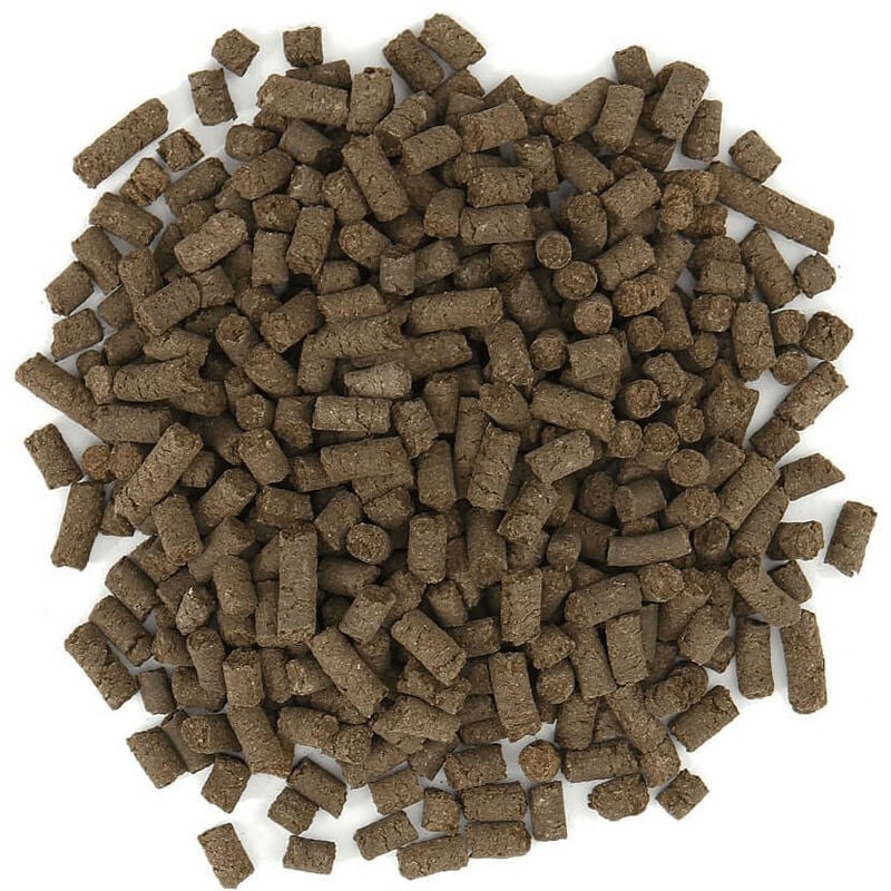 Beckmann - profi Provita Granulés de corne 25 kg Engrais pour cultures Engrais pour plantes