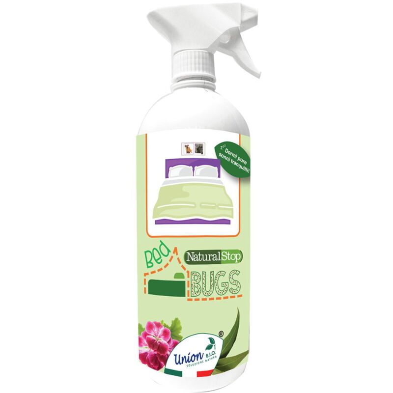 Una immagine