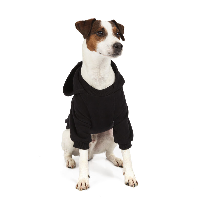 

BedDog® Sudadera con capucha para perro, Hoodie Bulldog Francés, Jack Russell Terrier, Parson, York, Ropa, orificio para la correa, muchas