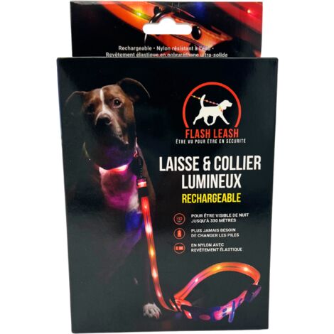 Beleuchtete Hundeleine und Halsband - VENTEO - LED USB Aufladbar - Lange Leuchtdauer - Wasserfest - 3 Leuchtmodi - Einstellbar für Kleine/Mittlere/Große Hunde - Orange