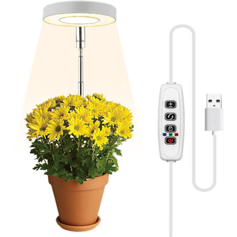 Beleuchtung für Topfpflanzen, warmweißes Licht/weißes Licht