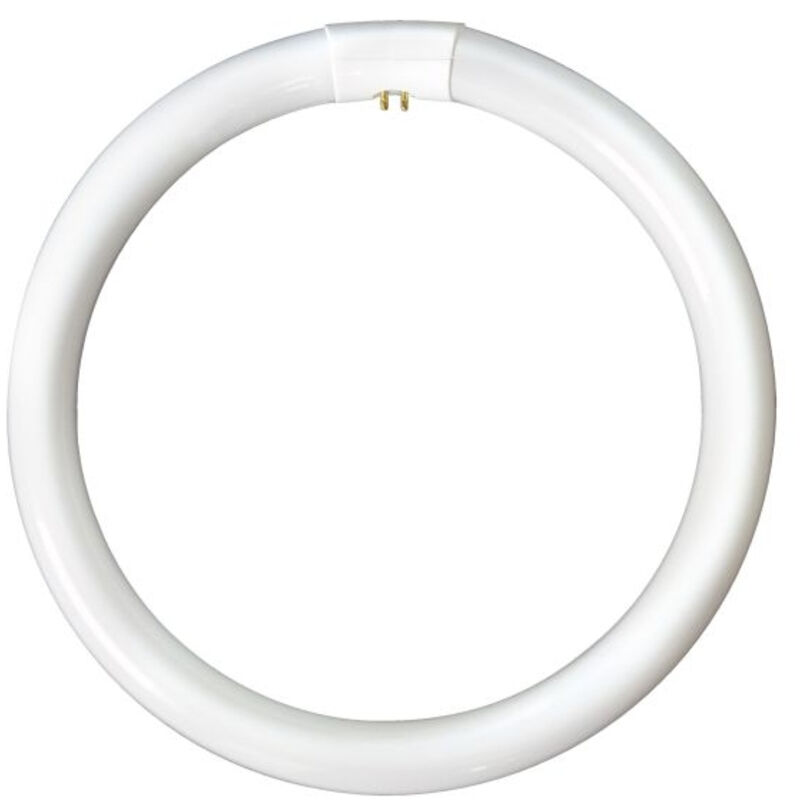Bell Lighting LP9660 Circular Triphosphor Tube 32w 12 Inch White