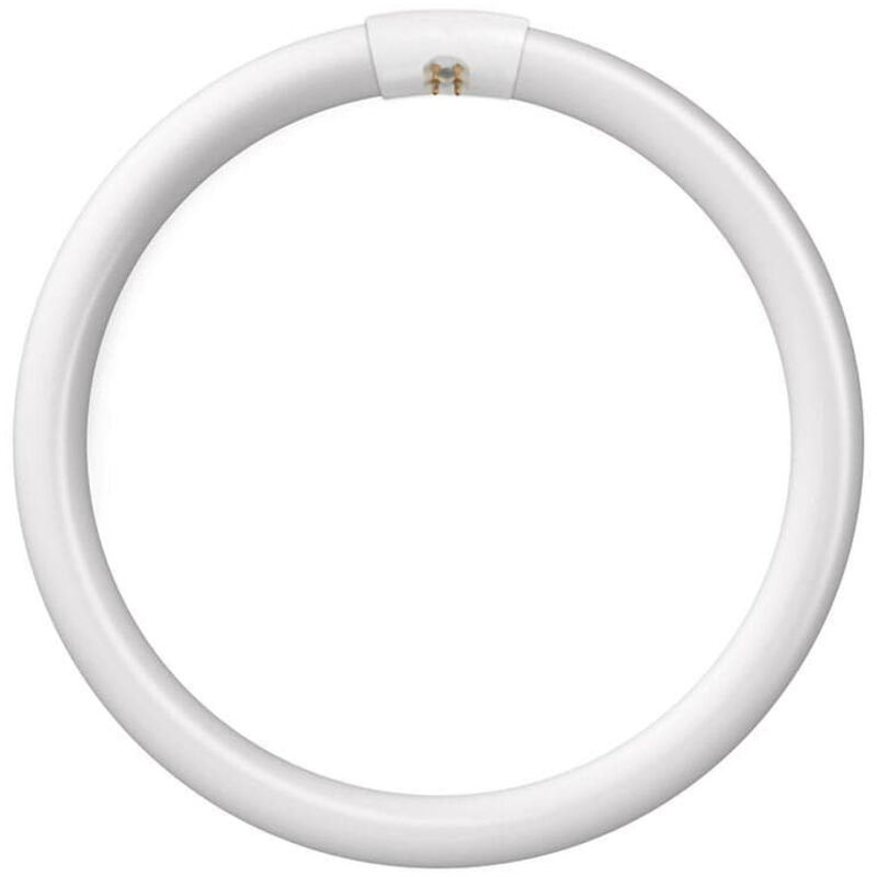 Bell Lighting T9 Circular Fluorescent Tube 32W Cool White