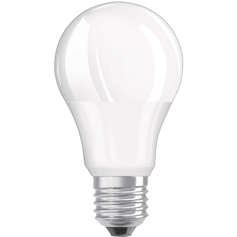 Lampadina led E27 smerigliata standard, 10W, bianco freddo.