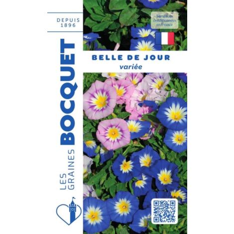 Belle de jour variée - 3g