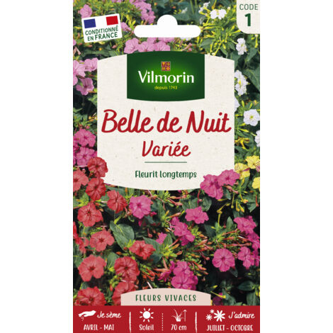Belle de nuit variée – Graines de fleurs multicolores – Exposition mi-ombre – Semis en avril-mai – Hauteur 70 cm – Vilmorin