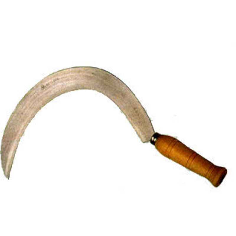 Faucilles de gland 2562 bord