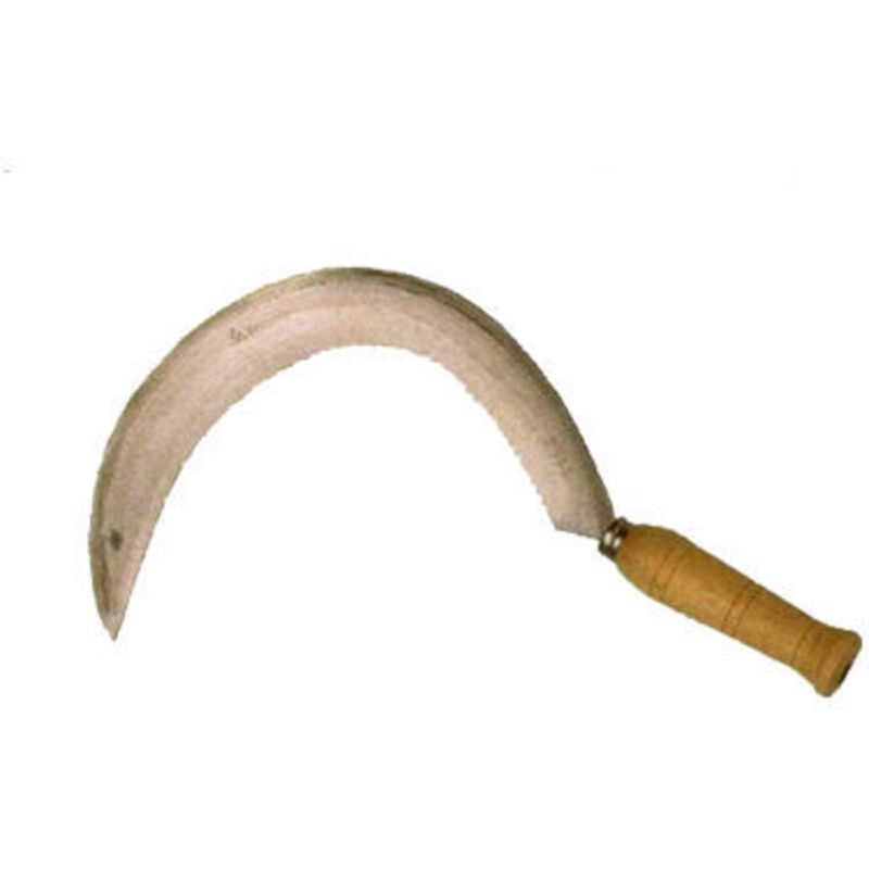 Faucilles de gland 2563 bord