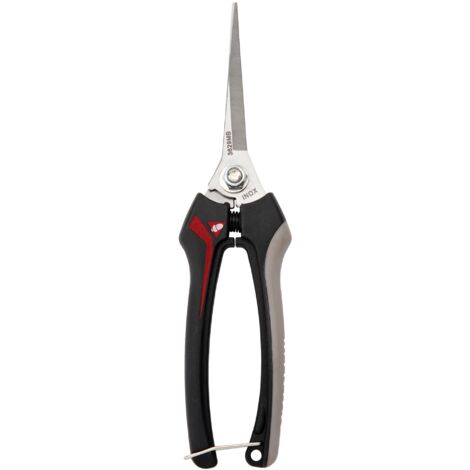 Bellota 3629 INOXGR25MB - Forbici per la Raccolta della Frutta, Strumento per l'Agricoltura e il Giardinaggio, con Impugnatura Bimateriale e Lame Lunghe in Acciaio Inossidabile