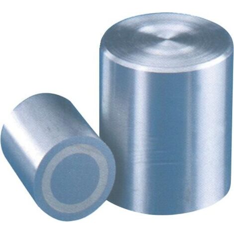 Beloh Magnetstabgreifer D.6xH.10mm glatt Haftkraft 2N