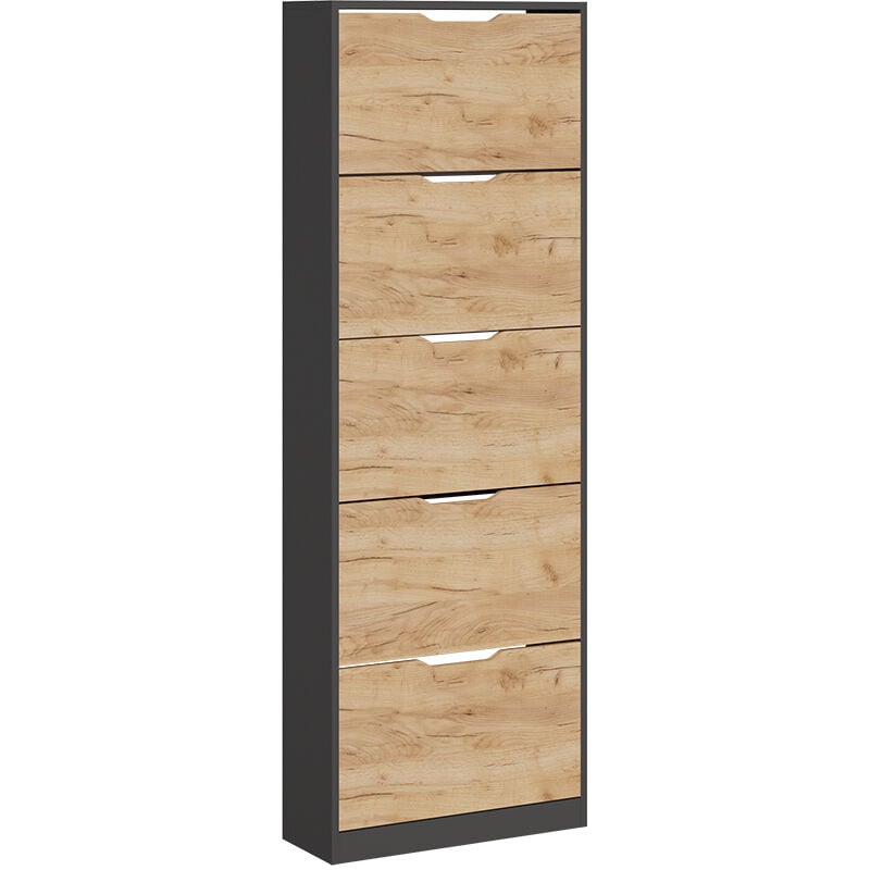 Vicco - Benne à chaussures Luca, Anthracite/chêne doré, 22x169cm avec 5 compartiments