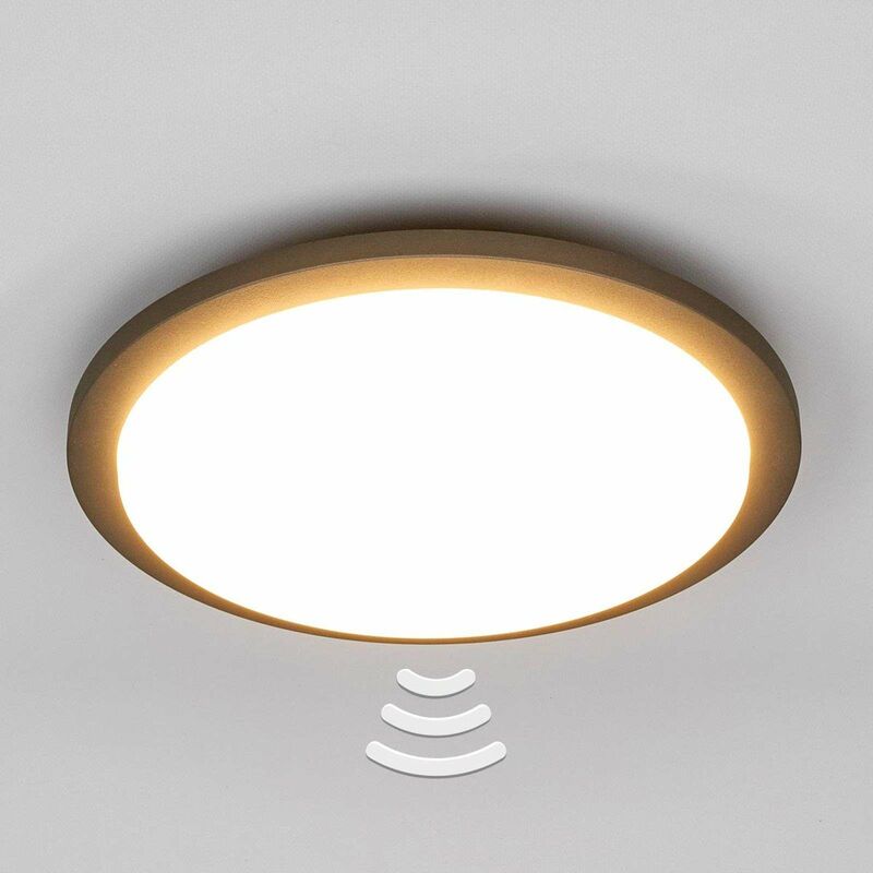 Benton Led Outdoor Ceiling Light With Sensor