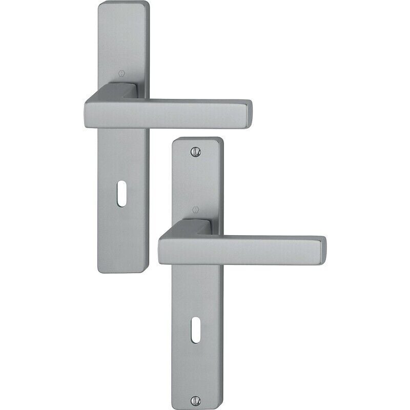 Hoppe - Béquille double sur plaque entraxe 195 mm ligne Toulon bdc inox brossé F9