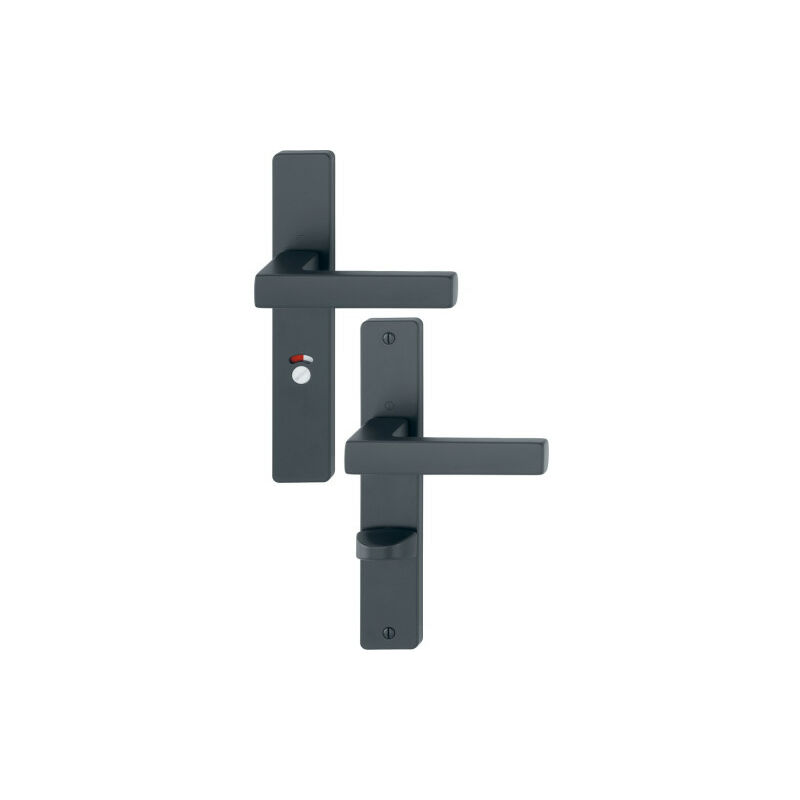 Ensemble de poignées de porte sur plaque TOULON