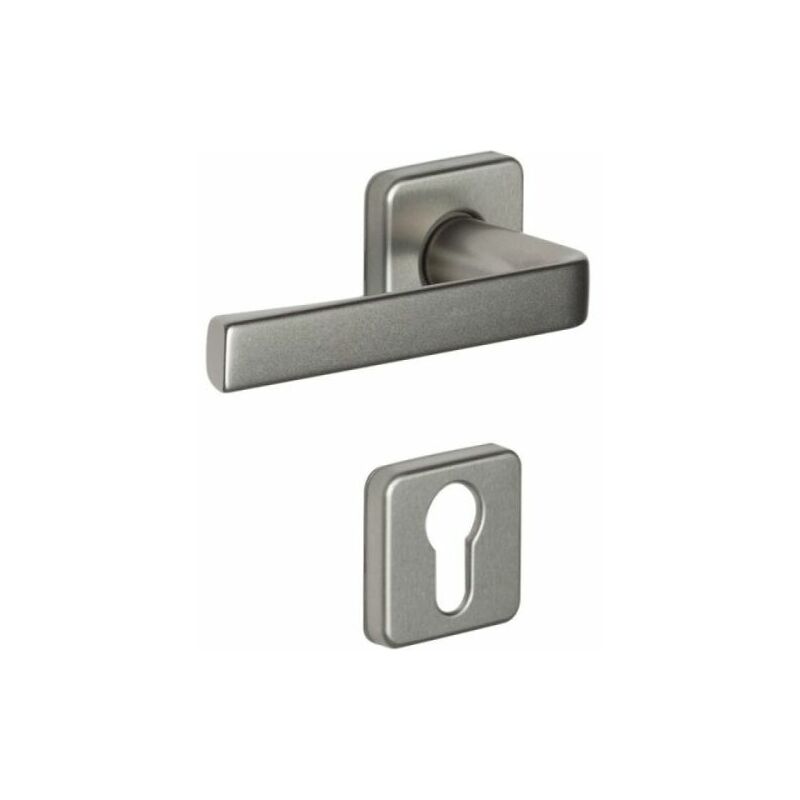 Vachette - Ensemble de poignées de porte kaza Aspect inox Aspect inox Anodisé à condamnation