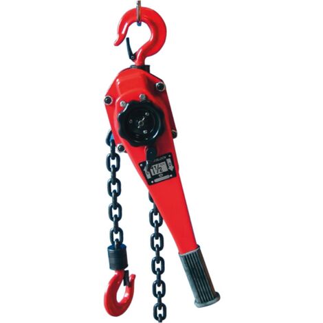 Berger & Schröter 60317 - Paranco a cricchetto doppio, 1,5 t