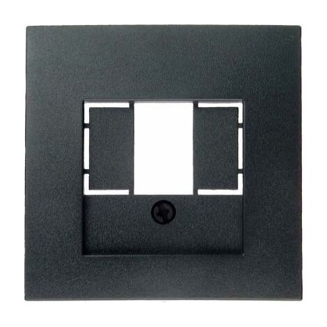 BERKER 10331606 ZENTRALSTÜCK FÜR TAE-STECKDOSE B.1/B.3/B.7 GLAS ANTHRAZIT, MATT
