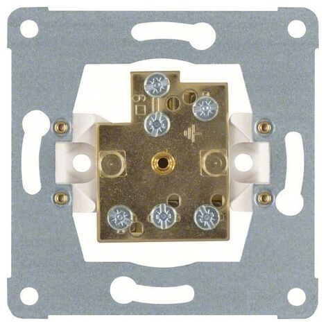 BERKER 1061 DOPPEL-POTENZIALAUSGLEICH-STECKDOSE MODUL-EINSTZE