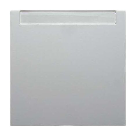 BERKER 16261909 WIPPE MIT BESCHRIFTUNGSFELD S.1/B.1/B.3/B.7 GLAS POLARWEIß, MATT