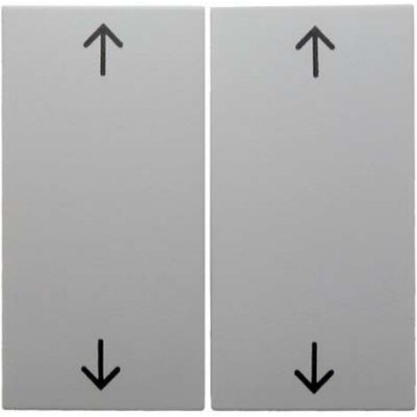 BERKER 16448989 WIPPEN MIT AUFDRUCK SYMBOL PFEILE S.1/B.3/B.7 GLAS POLARWEIß, GLÄNZEND