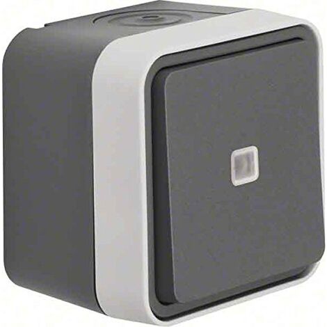 BERKER BOUTON POUSSOIR INVERSEUR 50763505 GRIS CLAIR W.1 BOUTON-POUSSOIR 4011334395263