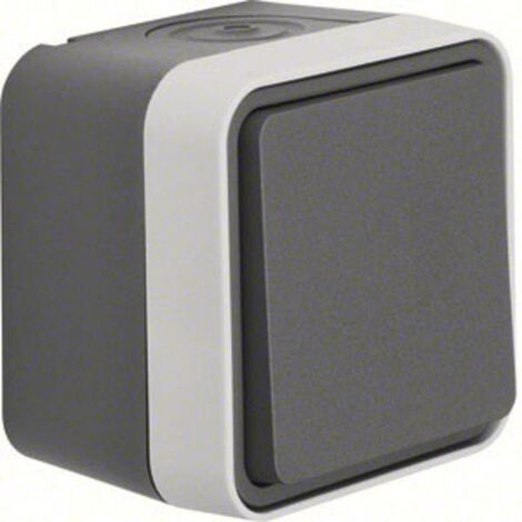 Berker Commutatore Superficie W.1 Grigio, Grigio luminescente 30763505 1 pz.