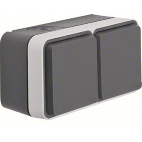 Berker Presa doppia Superficie W.1 Grigio, Grigio luminescente 47843515
