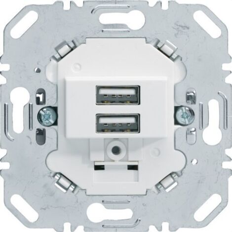 BERKER Prise USB 230V de couleur blanc polaire mat 260209