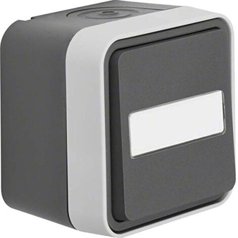 Berker Pulsante Superficie W.1 Grigio, Grigio luminescente 50763555